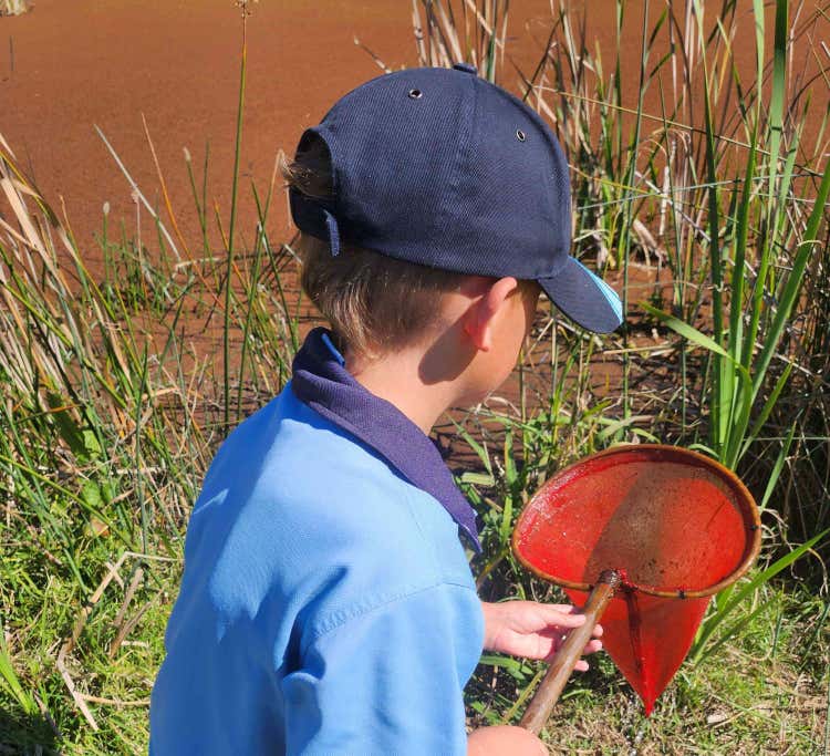 Student with red dip net approaching reedy lagoon