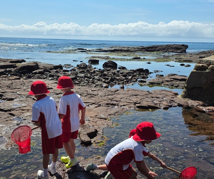 Three young studetns with dip nets exploring the rocky shore