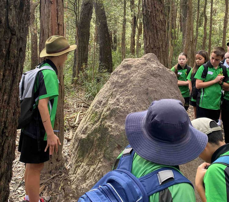 Student in forest behind a large termite mound addressing fellow peers students